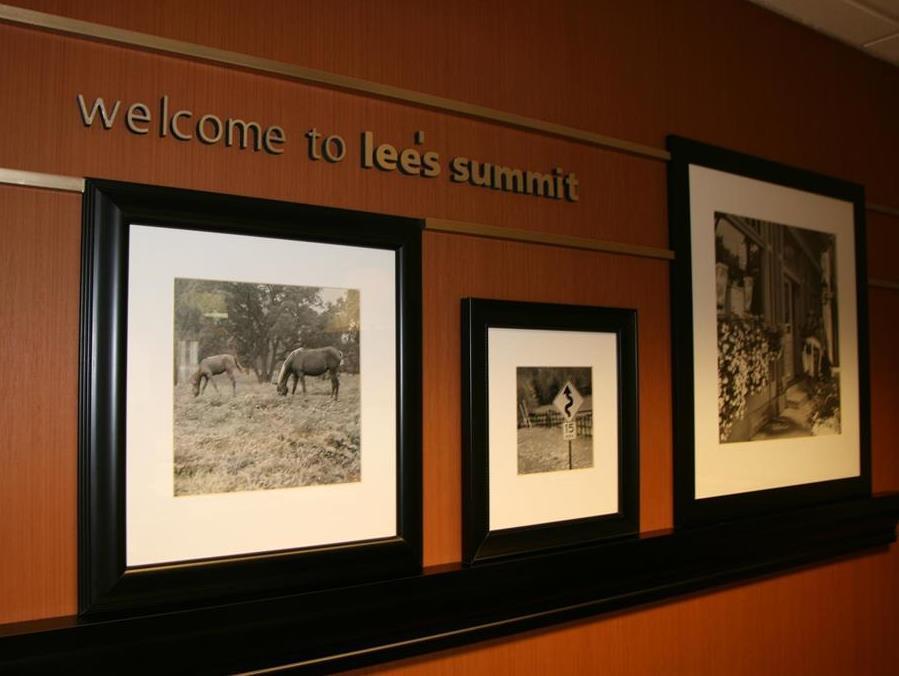 Hampton Inn Kansas City-Lee'S Summit Lee's Summit Exterior foto